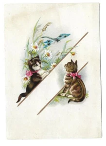 Les deux chats et la libellule - Chromo - Trade Card - Picture 1 of 2