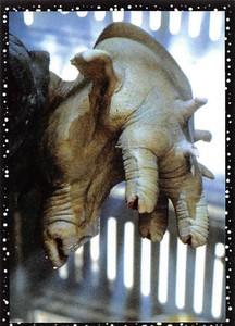 1996 Panini Star Wars Stickers NonSport Album Stickers Pick From List