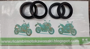 Kit Paraolio Parapolvere Forcella HONDA X-ADV 750 17/20 Oil Seal 41x54x11 - Imagen 1 de 1