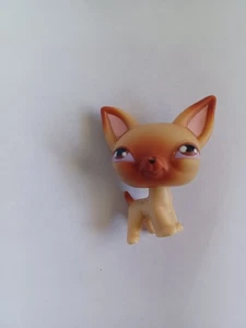 Littlest Pet Shop #1 Chihuahua Tan/Brown 2004 Dog Vintage Magnetic - Picture 1 of 5