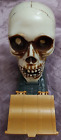 Treasure of Skull Island Game 2013 Replacement Or Halloween Decoration