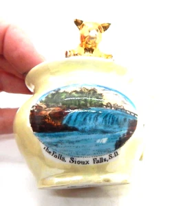 The Falls Sioux Falls, S. D. Historical Souvenir China Cup With Pig - Circa 1910 - Picture 1 of 3
