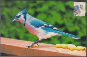 CANADÁ #3017a - The BLUEJAY en una EXCELENTE TARJETA MÁXIMA - Imagen 1 de 1
