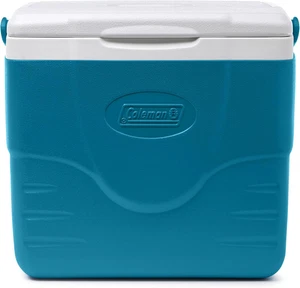 Cooler—Chiller 9 Quart Portable Cooler - Picture 1 of 12