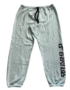 Victoria's Secret Pink Logo Classic Pant Sweatpants Dreamy Mint L NWT - Picture 1 of 11