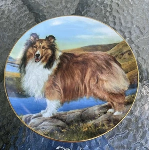 Danbury Mint Sommerausflug Shetland Schäferhunde Teller von Edward Aldrich 8", Collie - Bild 1 von 2