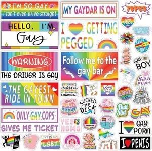 76 PCS Original Funny Gay Prank Bumper Stickers, LGBT Sticker a - Picture 1 of 7