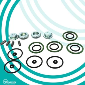 KIT REVISIONE INIETTORI LANDI RENZO 674915000 EVO I-PLUS GUARNIZIONI RIPARAZIONE - Imagen 1 de 8