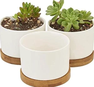 Ceramic Pot with Bamboo Tray ~ Contemporary Design Succulent Plant Pot - Picture 1 of 1