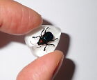 Insect Cabochon Shining Leaf Beetle Heart Shape 17x21 mm White 1 piece Lot