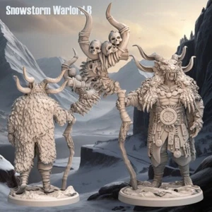 Snowstorm Warlord B - Frost Tribe - D&D or Wargaming Miniature 32mm - Picture 1 of 1