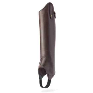 ARIAT GOLD KENDRON CHAP-MAHOGANY-S - Picture 1 of 1