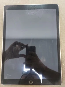 Apple iPad Pro 12.9" A1584 - Space Grey — Faulty/Damaged [Read Description] - Afbeelding 1 van 10