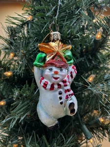 Christopher Radko Colección Pequeñas Gemas Columpio en una Estrella Gema Vidrio Caja de Adornos - Imagen 1 de 9