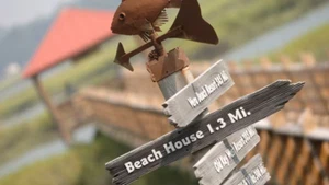 Disney's Hilton Head Island Resort DVC Vacation Hotel ANY 1 Nights ANY YEAR 1 BR - Picture 1 of 24