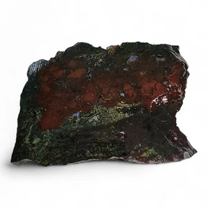 Red Moss Agate Slab 90.3 grams - Picture 1 of 2