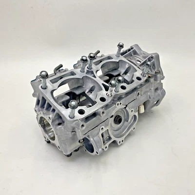 Arctic Cat Sno Pro 500 2014 estuche motor Foto 1 de 4