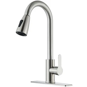 Brushed Nickel Kitchen Faucet w/ Pull Out Sprayer Single Handle for RV Farmhouse - Picture 1 of 14