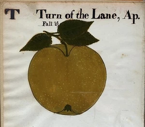 Antique FOLK ART APPLE PAINTING 19th Century - Picture 1 of 3