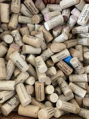Lote de 900+ Corchos de Vino Caja Usada Corcho Natural Artes/Artesanías/Proyectos Exhibición de Arte Foto 1 de 4