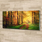 Wandbild aus Plexiglas Druck auf Acryl 125x50 Landschaften Herbstwald
