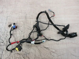 Kia Pro Ceed JD 2018 pasajero lado cercano puerta delantera izquierda cableado telar - 3 puertas (NSF) - Imagen 1 de 11