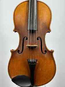 3/4 Geige Kindergeige violin violin