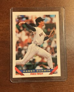 1993 Topps Danny Darwin #214
