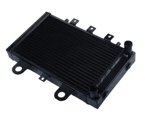 For Triumph Aluminium Radiator Thunderbird Sport 900 Legend TT Adventurer 95-02 - Picture 1 of 6