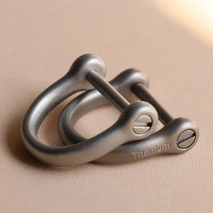 2 PCS Horseshoe Buckle Stirrup Buckle D-shaped Metal Hanging Buckle Car Keychain - Picture 1 of 21