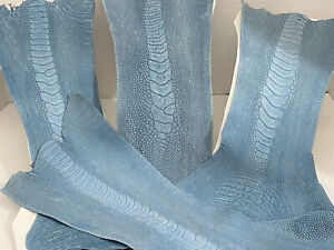Ostrich Legs Skin Leather, Royal Blue Color (SW)