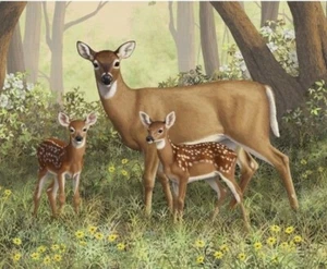David Textiles - Deer And Her Family Digital Quilting And Crafting Fabric Panel - Picture 1 of 2