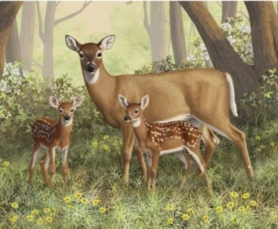 David Textiles - Deer And Her Family Digital Quilting And Crafting Fabric Panel - Image 1 of 2