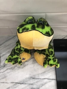 Webkinz Hopper the Frog Adoption Certificate and Biography - Picture 1 of 3