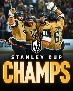 Vegas Golden Knights 2023 Stanley Cup Champions Collage 8x10 NHL Foto - Imagen 1 de 1