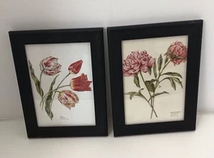 Williamsburg Floral Prints Framed In Black Wooden Frames,Sz 6/8 In,hang Only - Picture 1 of 2