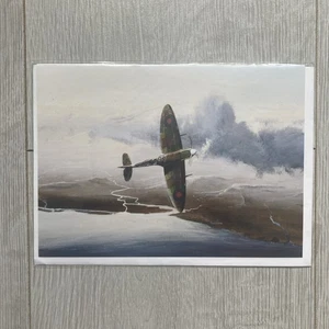 Scheda Aviazione Left Blank di Steve Cale "The Power & The Glory" - Spitfire MK V - Foto 1 di 2