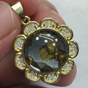 29.15ct Pallasit Meteorit Anhänger Brenham Meteorit Halskette - Bild 1 von 6