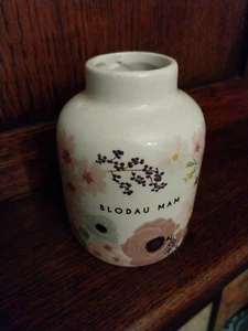 Belly Button Welsh Blodau Mam Flower Bud Vase Rare Design Great Stocking Filler - Picture 1 of 7