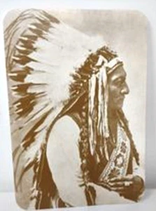 Old West Collectors Series Sitting Bull Teton Sioux Chief Postcard Unposted - Picture 1 of 3
