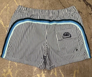 Zebra Sundek S Rainbow Beach Swim Board Shorts Trunks Bath Elastic Suit Size S - Picture 1 of 7