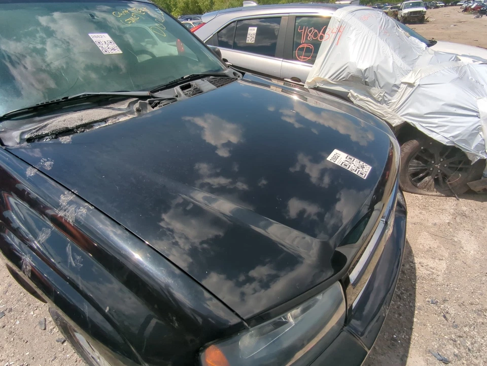 2002-2009 Chevrolet Trailblazer Hood Oem U1YNN - Image 1 of 1