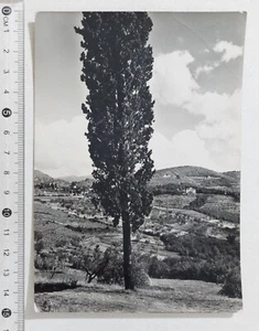 I123353 Cartolina - Toscana - Paesaggio - VG 1955 - Imagen 1 de 2