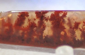 Carey Plume Agate pendant freeform 52 carats - Picture 1 of 11