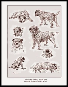 BORDER TERRIER IN VERSCHIEDENEN STIMMUNGEN VINTAGE STIL A4 HUND KUNSTDRUCK POSTER - Bild 1 von 1
