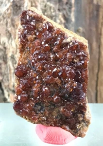 Rohes Hessonit Granat Mineral Exemplar aus Pakistan 97 ct / 19 Gramm - Bild 1 von 9