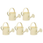 5 Pcs Small Gardening Kettle Kids Watering Can Tin Home+Decor