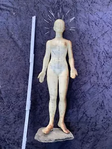 Akupunktur Modell auf Stein Sockel - Bild 1 von 6