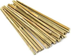 8FT Bamboo Canes Heavy Duty Thick Quality Garden Plant Flower Support Sticks New - Picture 1 of 8