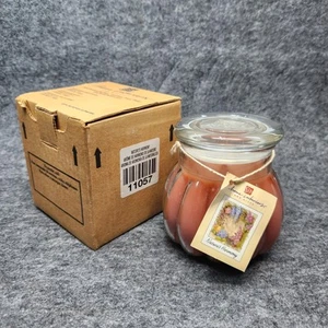 2002 Home Interiors Natures Harmony Glass Jar Candle 11057 New Unused 15.5 oz - Picture 1 of 4